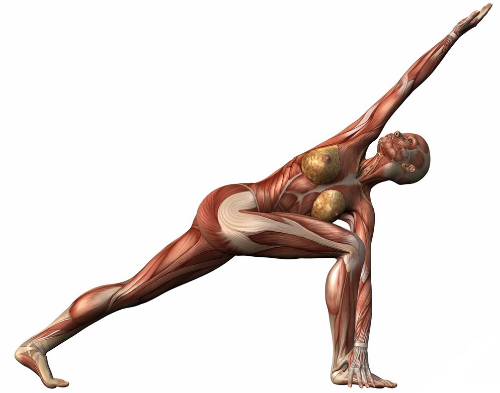 SaturdaYoga